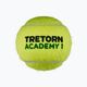 Tretorn ST1 tennis balls 36 pcs yellow 3T519 474442 2