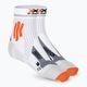 Men's X-Socks Marathon Energy 4.0 running socks arctic white/trick orange