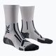 Men's X-Socks Trailrun Perform Crew pearl grey/charcoal running socks