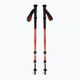 Black Diamond Trail Back Trek trekking poles burnt sienna 2