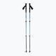 Black Diamond Trail Back Trek trekking poles creek blue