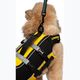 Cressi Dog Life Jacket black/yellow 5