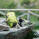 Fizan Active 20 green 206G trekking backpack 7