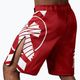 Hayabusa Icon Fight red ICFS boxer shorts 4