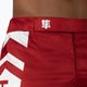 Hayabusa Icon Fight red ICFS boxer shorts 5