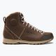 Men's trekking boots Dolomite 54 High Fg Gtx brown 247958 0712 2