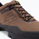 Men's trekking shoes Tecnica Plasma GTX brown TE11248300004 7