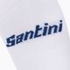 Santini Bengal coloured cycling socks 2S652HPBENGRYXS 3