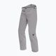 Men's Dainese Dermizax Ev silver/filigree ski trousers 6