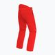 Men's Dainese Dermizax Ev high/risk/red ski trousers 2