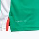 Men's tennis shirt Diadora SS TS green DD-102.179124-70134 4