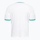 Men's tennis shirt Diadora Icon SS TS white DD-102.179126-20002 2