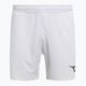 Men's tennis shorts Diadora Bermuda Icon white DD-102.179122-20002