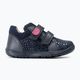 Geox Macchia dark navy children's shoes B164PA 2