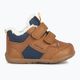 Geox Elthan tobacco/navy children's shoes 8