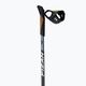 Fizan Speed Black Nordic walking poles black S20 7525 2