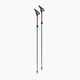 Nordic walking poles Fizan Carbon Pro Impulse grey