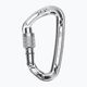 Climbing Technology Aerial Pro SG carabiner silver 2C33300XTBCTSTD 2