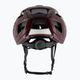 KASK Sintesi wine red bicycle helmet 3