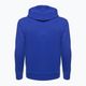 Champion men's sweatshirt Rochester blue 3