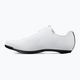 Men's road shoes Fizik Tempo Decos Carbon white/white 9