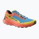 La Sportiva Prodigio men's running shoes tropical blue/cherry tomato 8
