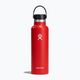 Hydro Flask Standard Flex 620 ml goji travel bottle
