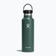 Travel bottle Hydro Flask Standard Flex 620 ml fir