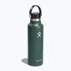 Travel bottle Hydro Flask Standard Flex 620 ml fir 2