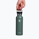 Hydro Flask Standard Flex Straw thermal bottle 620 ml fir 4