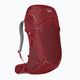 Women's trekking backpack Lowe Alpine AirZone Trek ND43:50 43 + 7 l raspberry 5