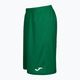Joma Nobel Long training shorts green 101648.450 8