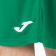 Joma Nobel Long training shorts green 101648.450 5