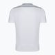 Joma Championship VI men's football shirt white/grey 101822.211 7