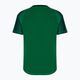 Men's training shirt Joma Hispa III green 101899 7