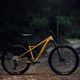 Orbea mountain bike Laufey H30 2023 gold N24917LX 8