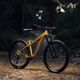 Orbea mountain bike Laufey H10 beige 2023 N25017LX 8