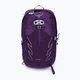 Osprey Tempest 20 l violac purple women's hiking backpack