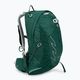 Women's hiking backpack Osprey Tempest 20 l jasper green 2