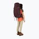 Women's trekking backpack Osprey Kyte 58 l elderberry purple 10