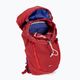 Osprey Jet 18 l children's hiking backpack red 5-447-1-0 7