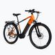LOVELEC electric bike Triago Man 16Ah grey-red B400359 2