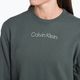 Men's Calvin Klein Pullover LLZ urban chic sweatshirt 4