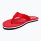 Tommy Hilfiger women's flip flops Global Stripes Flat Beach Sandal fierce red 7