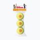 Wilson Starter Orange Tball children's tennis balls 3 pcs yellow WRT137300