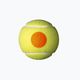 Wilson Starter Orange Tball children's tennis balls 3 pcs yellow WRT137300 3