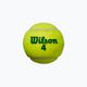 Children's tennis balls Wilson Starter Play Green 4 pcs yellow WRT137400 3