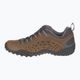 Merrell Intercept men's hiking boots brown J598633 13