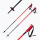 Men's Atomic Rester ski poles red AJ5005686 5