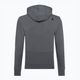Sweatshirt Atomic RS Hoodie grey 2